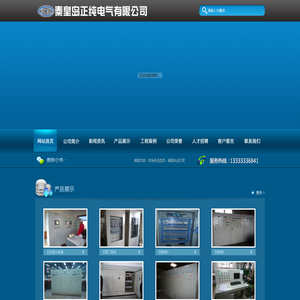 秦皇岛正纯电气有限公司