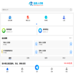 龙泉人才网